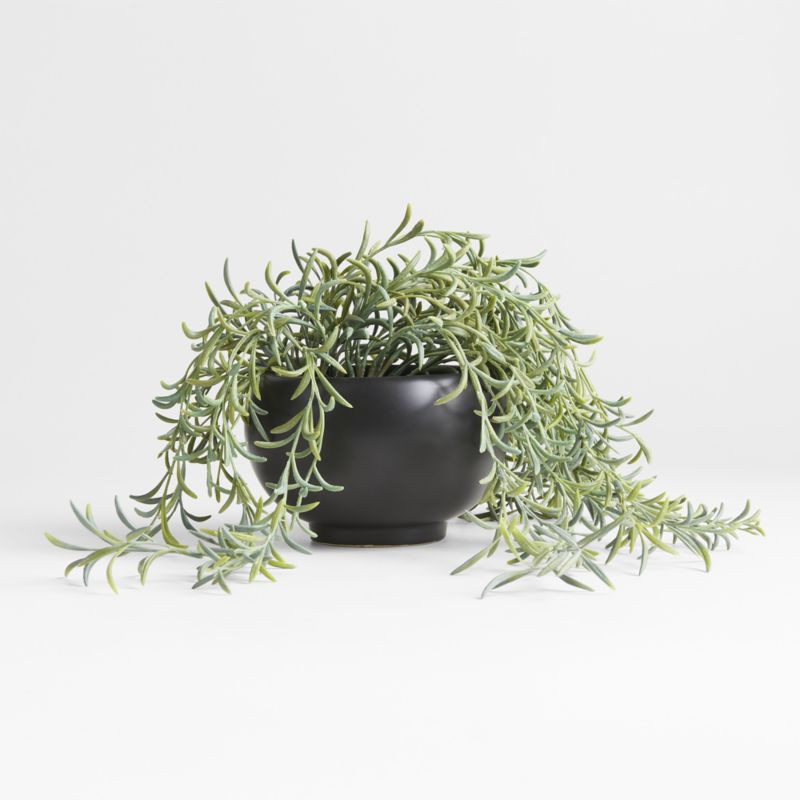 Potted Faux Green String of Fishhooks in Black Pot | Crate & Barrel | Crate & Barrel