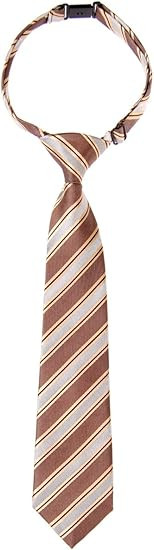 Retreez Preppy Stripe Pattern Woven Microfiber Pre-tied Boy's Tie | Amazon (US)