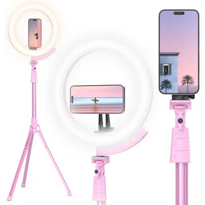 Professional 12'' LED Ring Light With 62'' Tripod Stand, Magnetic Phone Holder & Remote, Adjustable Color Temperature & Brightness For Iphone Android | Wayfair North America