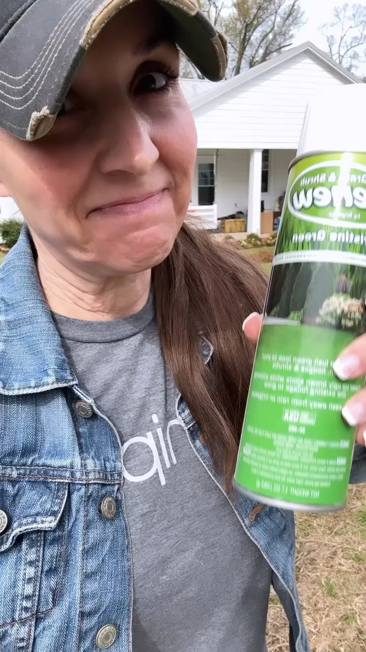 Let’s spray paint my ferns with Pristine Green Paint! 

#LTKSeasonal #LTKhome