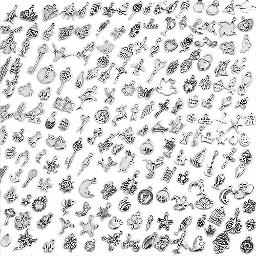 Acejoz 200Pcs Silver Charms for Jewelry Making and Bracelets, Wholesale Bulk Assorted Mixed Tibetan Earring Charms for DIY Necklace Bracelet Jewelry Making and Crafting | Amazon (US)