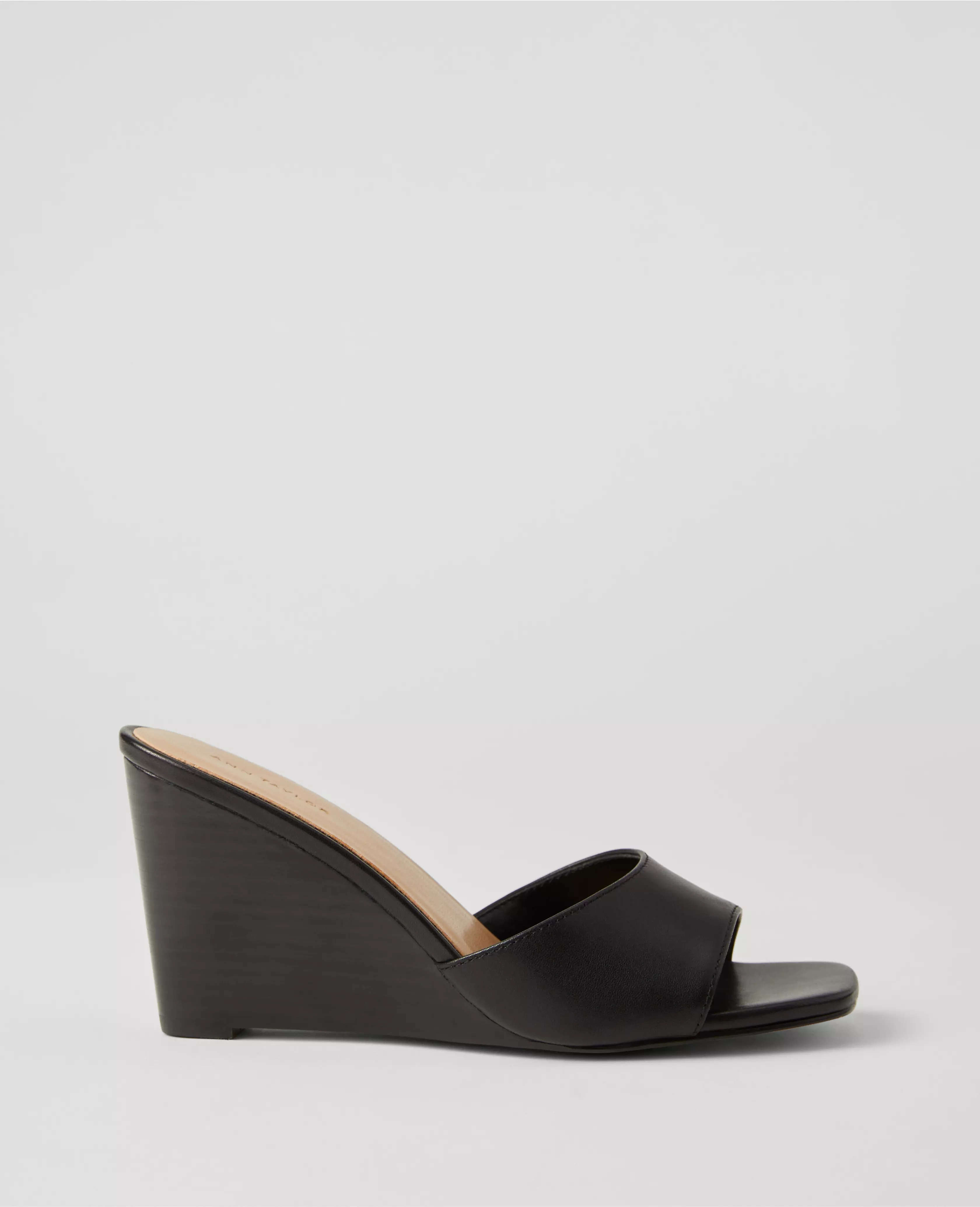Ann Taylor | Ann Taylor