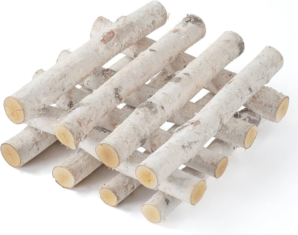 12-Pack Birch Logs for Crafts,Christmas Fireplace Decor Natural Home Wood Decor Birch Wood Branch... | Amazon (US)