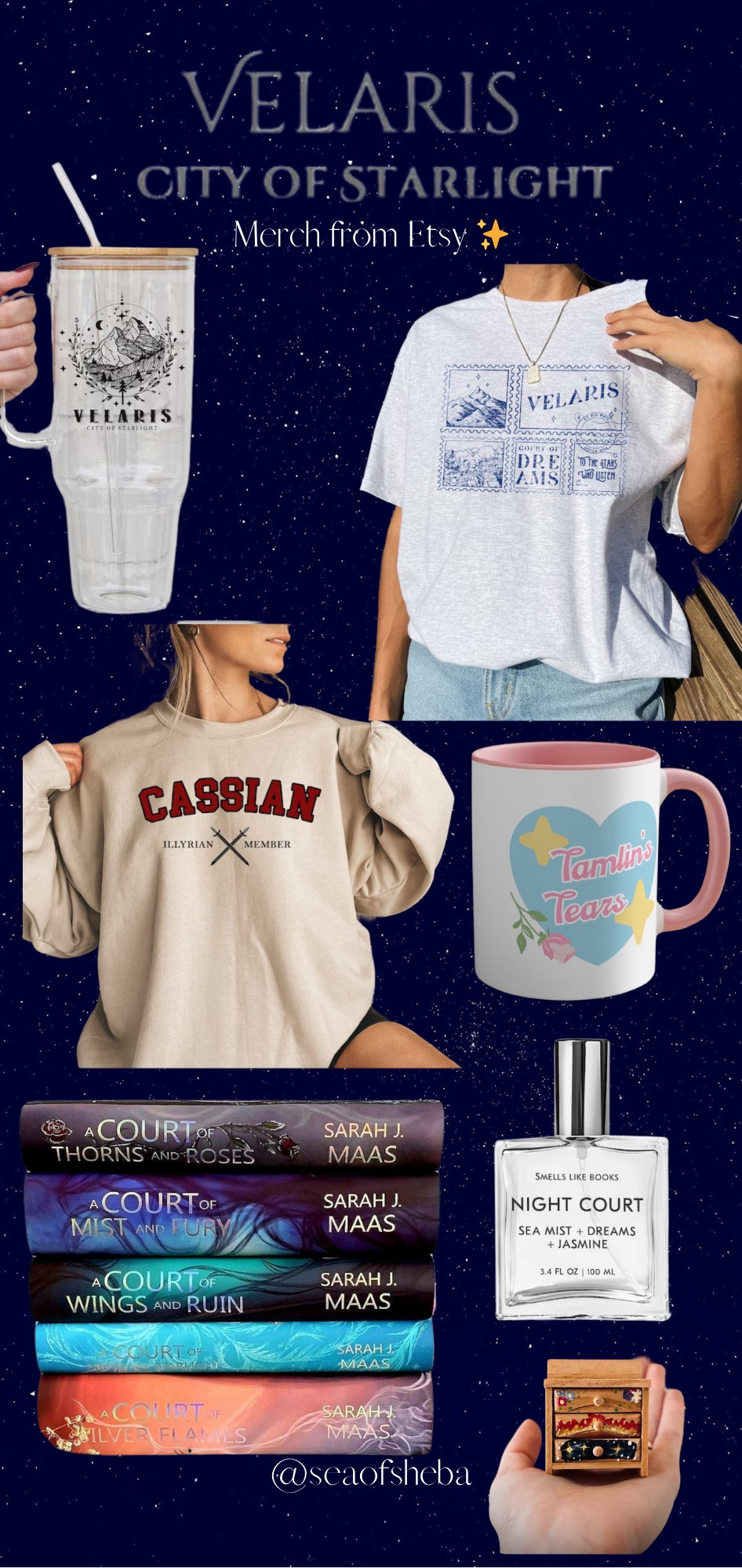 ACOTAR series merch! My favorites off #etsy #books #booktok #bookstagram #fantasy 

#LTKfindsunder50 #LTKhome #LTKfindsunder100