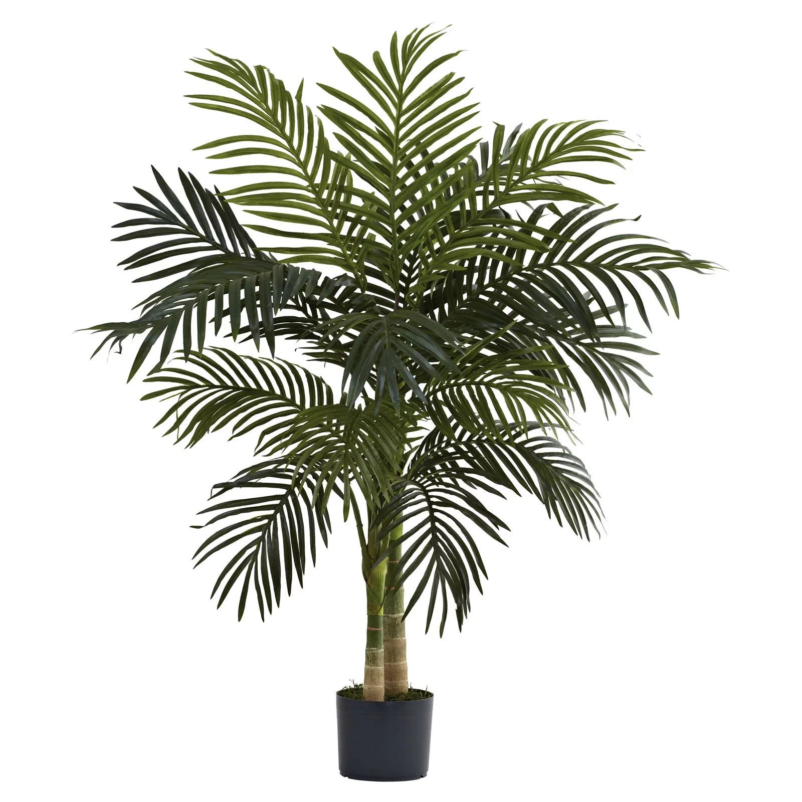 Nearly Natural 4ft. Golden Cane Palm Tree, Green | Walmart (US)