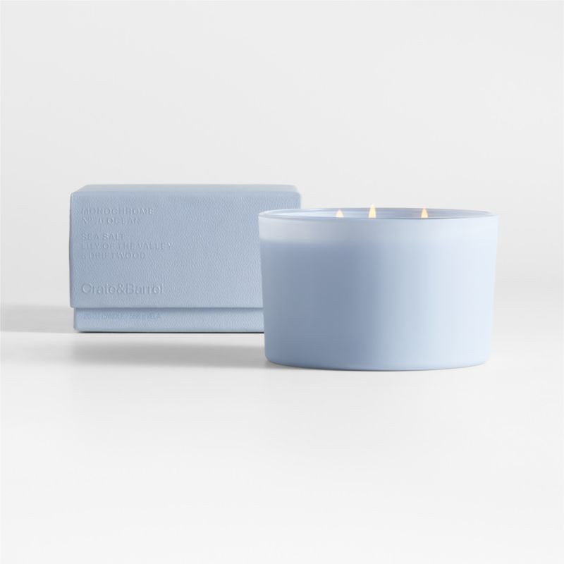 Monochrome No. 10 Ocean 3-Wick Candle - Sea Salt, Lily of the Valley and Driftwood + Reviews | Cr... | Crate & Barrel