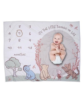 Lambs & Ivy Baby Disney Pooh Bear and Pals Photo Opp Milestone Fleece Blanket - Macy's | Macy's