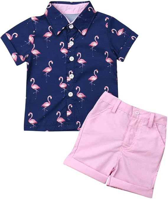VISGOGO Toddler Baby Boy Flamingo Short Sleeve Button Down Shirt & Casual Shorts Set Summer Outfi... | Amazon (US)
