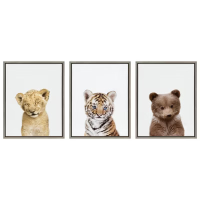 3pc Sylvie Lions and Tigers and Bears Framed Wall Canvases by Amy Peterson Gray - Kate & Laurel All Things Decor | Target