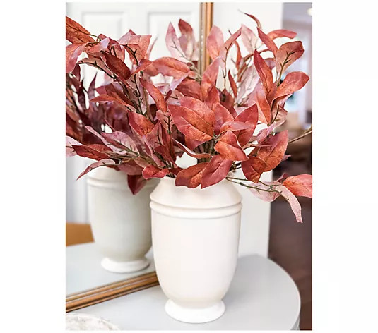 Simply Stunning Set of 5 Narrow Leaf Mulberry Sprays by Janine Graff | QVC