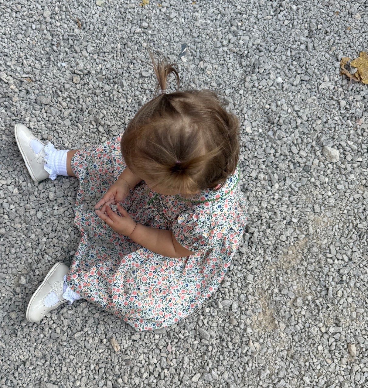 #LTKtoddler #LTKwedding #LTKflowergirl