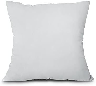 Amazon.com: EDOW Throw Pillow Insert, Lightweight Soft Polyester Down Alternative Decorative Pi... | Amazon (US)