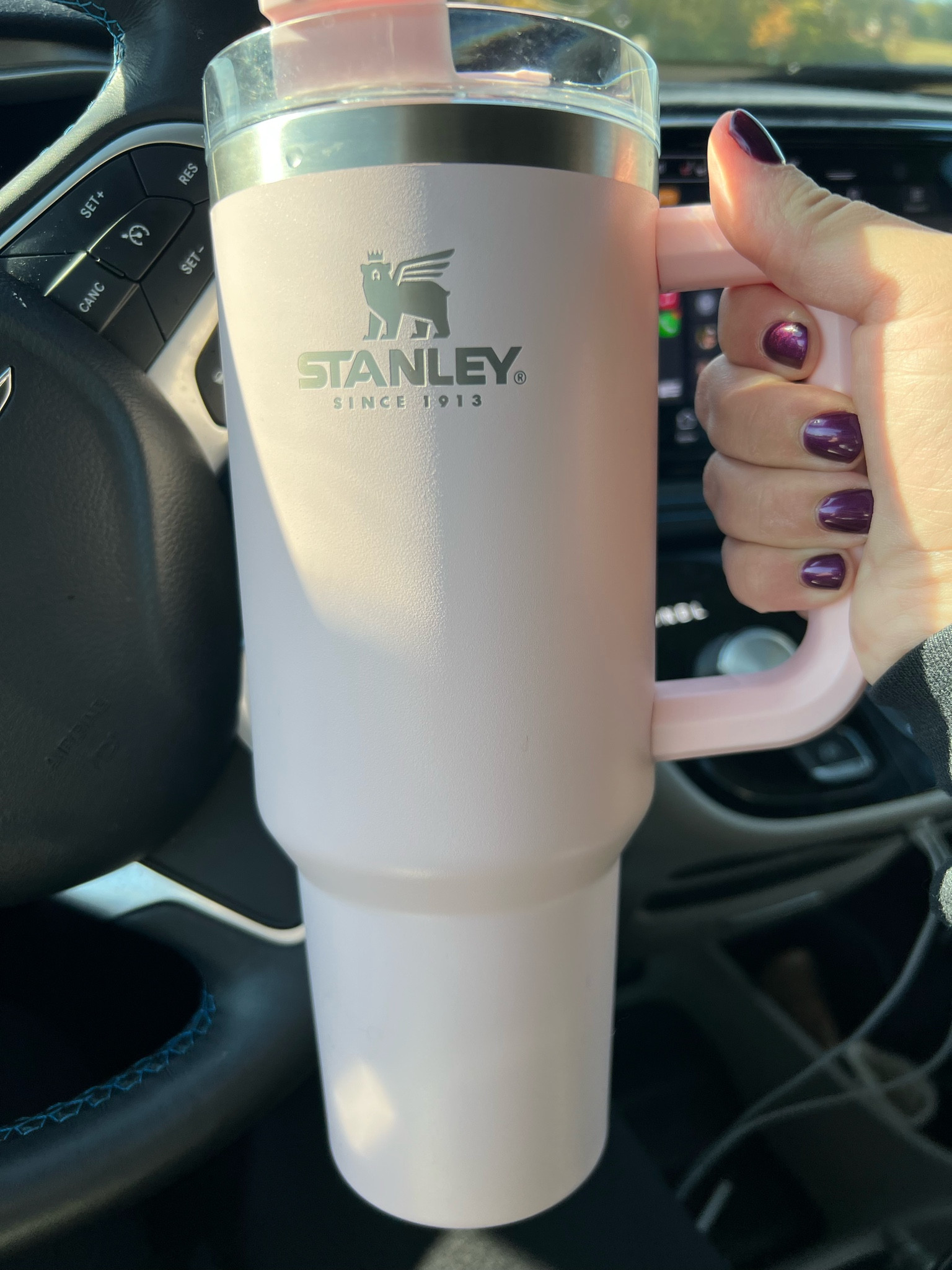 Stanley cup back in stock!!! 

#LTKsalealert #LTKSeasonal #LTKfamily