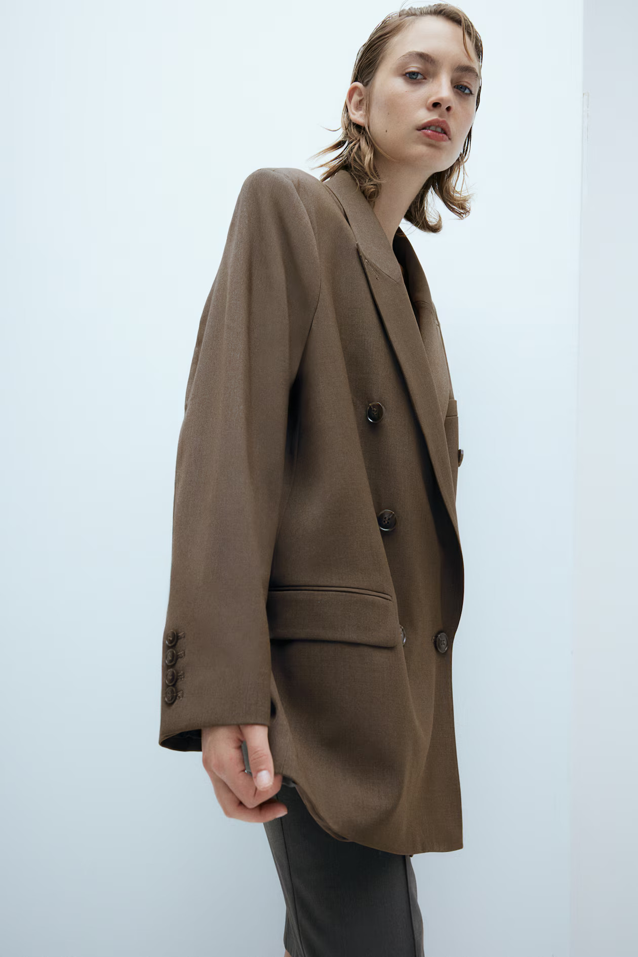 Double-breasted Blazer | H&M (US + CA)