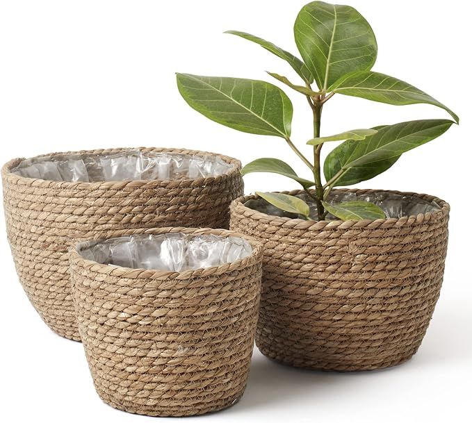 La Jolíe Muse Seagrass Planter Basket Indoor, Flower Pots Cover, Plant Containers, Natural(3-Pac... | Amazon (US)