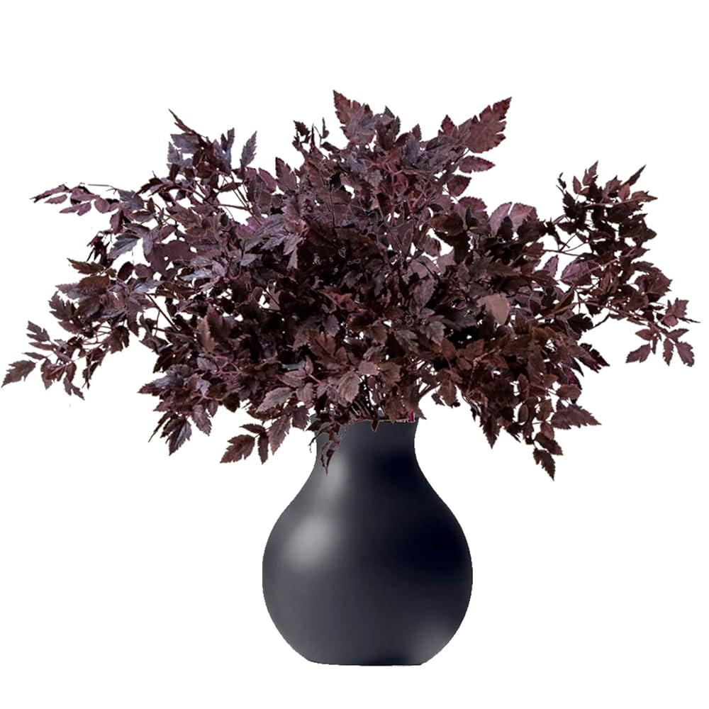 8 Pack Artificial Cimicifuga Plum Leaf Stems Spray, Faux Fall Silk Plants for Home Vase Table Wed... | Amazon (US)