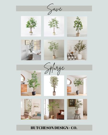 Most of these faux tree finds are on sale this week! From big, to small we’ve gathered them all! Whether your looking for a small faux tree to bring life to a dull hallway or corner or a big faux tree to bring interest in your living room or entryway we’ve rounded up some of our favorite finds! Planters to pair with these finds are coming up! Hang out with us in stories on Instagram and share which one you snagged! Faux Tree. Target. Afloral. PB. Crate and Barrel. Dupe. Skinny olive tree. Citrus Tree. XL faux tree. Small potted tree. Stems. 

#LTKFind #LTKunder100 #LTKsalealert