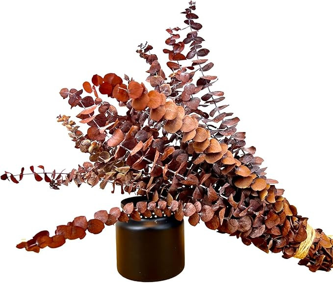 (20Pcs) Dried-Eucalyptus-Stems-Red, Fall Decorations for Home, Real Long Eucalyptus , Eucalyptus ... | Amazon (US)