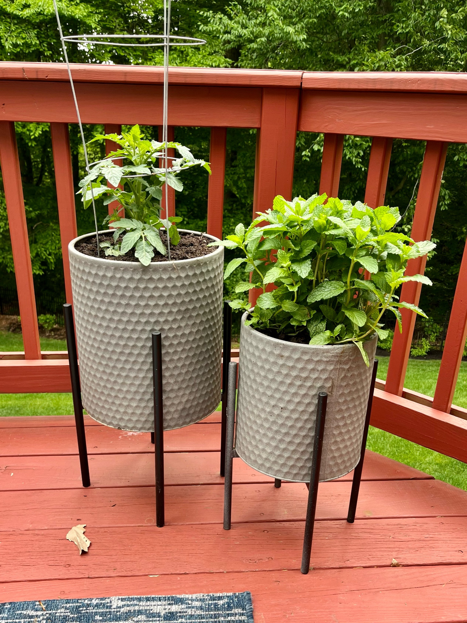 I love these metal planters from wayfair! I drilled 3 holes in the bottom of each for drainage purposes, then left them out all season! No rusting, although I might spray them this summer so they stay pretty! 

Garden, planter, gray honeycomb, tomato plant, mint plant, outdoor planters 



#LTKFindsUnder100 #LTKSeasonal #LTKHome