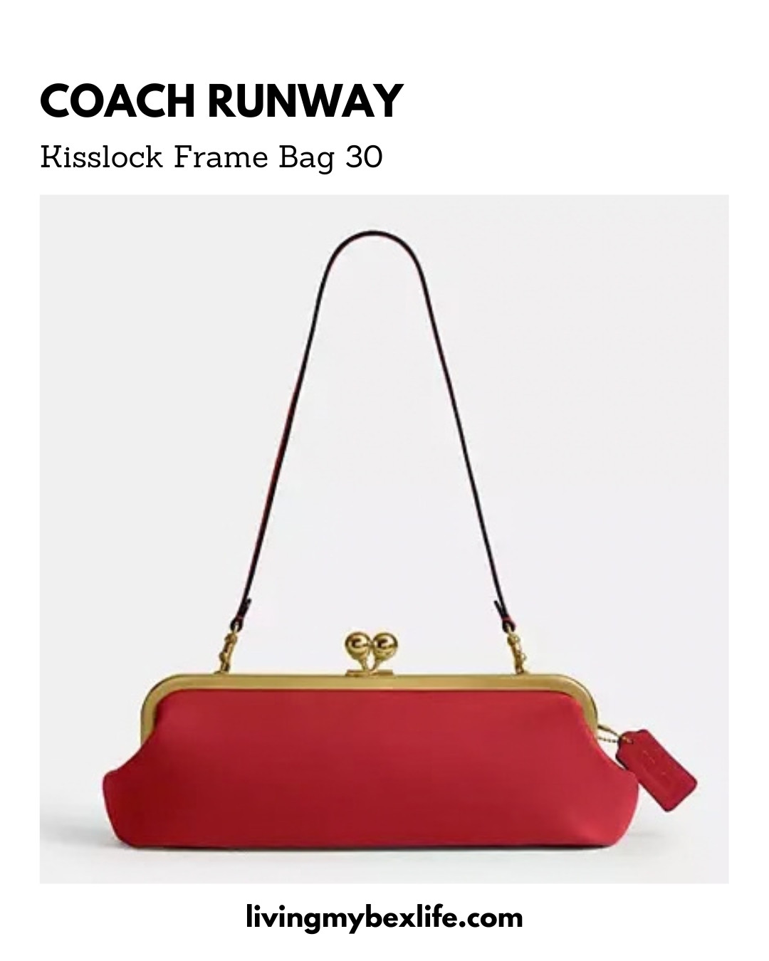 Kisslock Frame Bag 30 in Glovetan Leather/Brass/Poppy | runway fall 2026, nyfw, new york fashion week, luxury handbags 

 #LTKgrwm #LTKootd #LTKmomlife