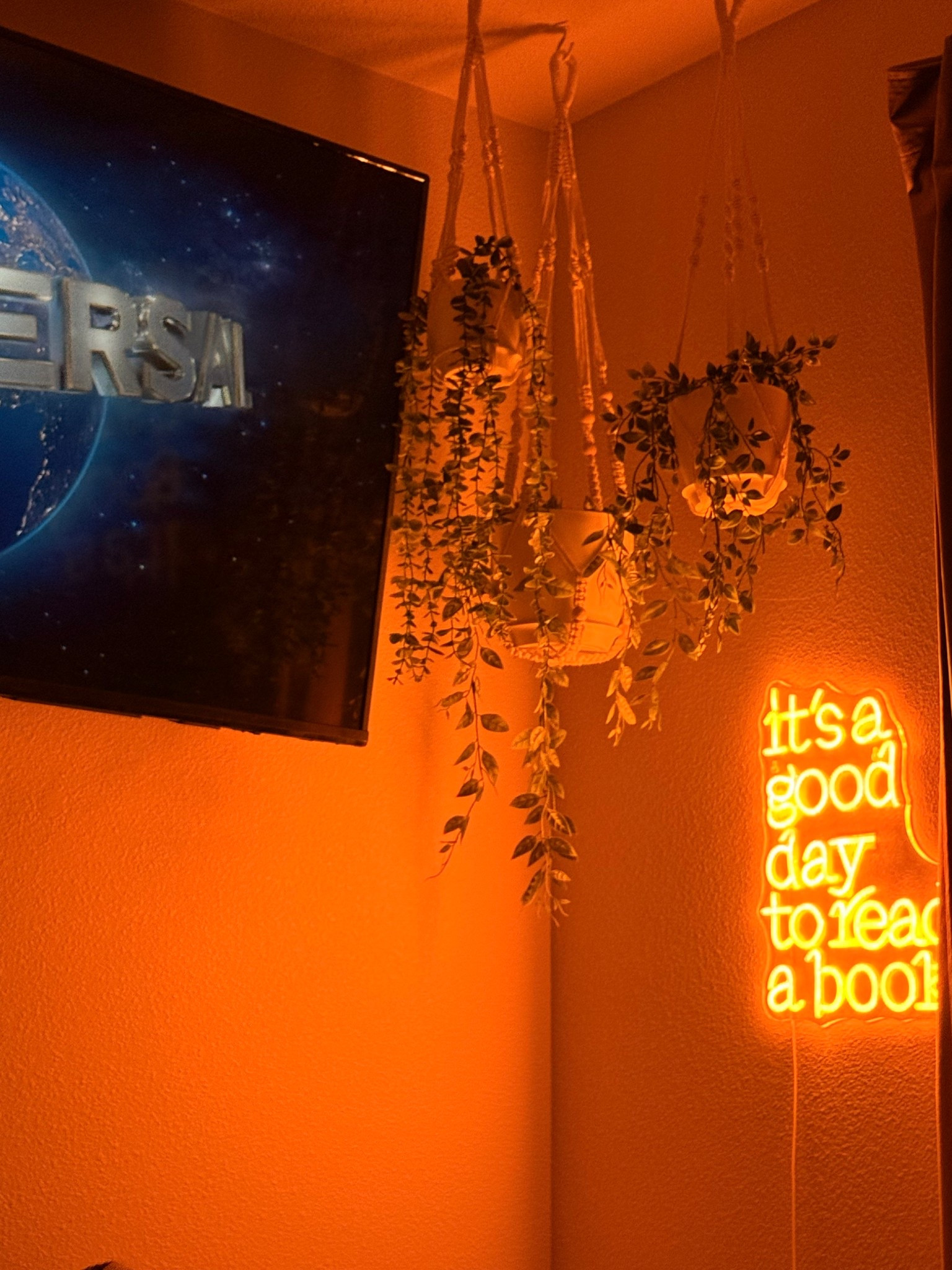 weekend mode 💤 #walldecor #hangingplants #wallsign #booktok #hangingfakeplants

#LTKdayinmylife #LTKmorningroutine #LTKselfcare