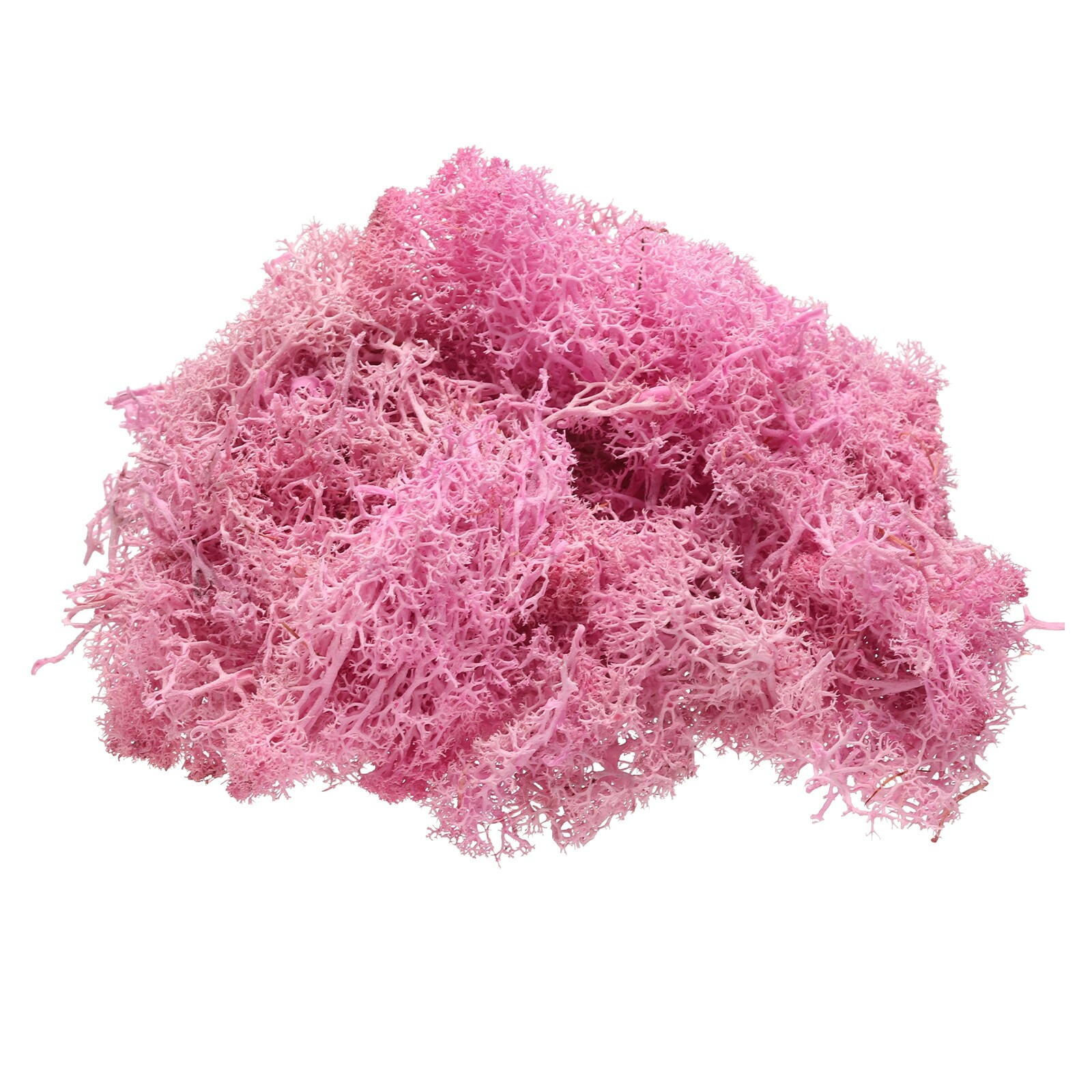 Unique Bargains Preserved Reindeer Moss 4 OZ Fake Moss for Crafts Artificial Dried Moss for Decoration Craft Terrariums Potted Plants Centerpieces | Lowe's