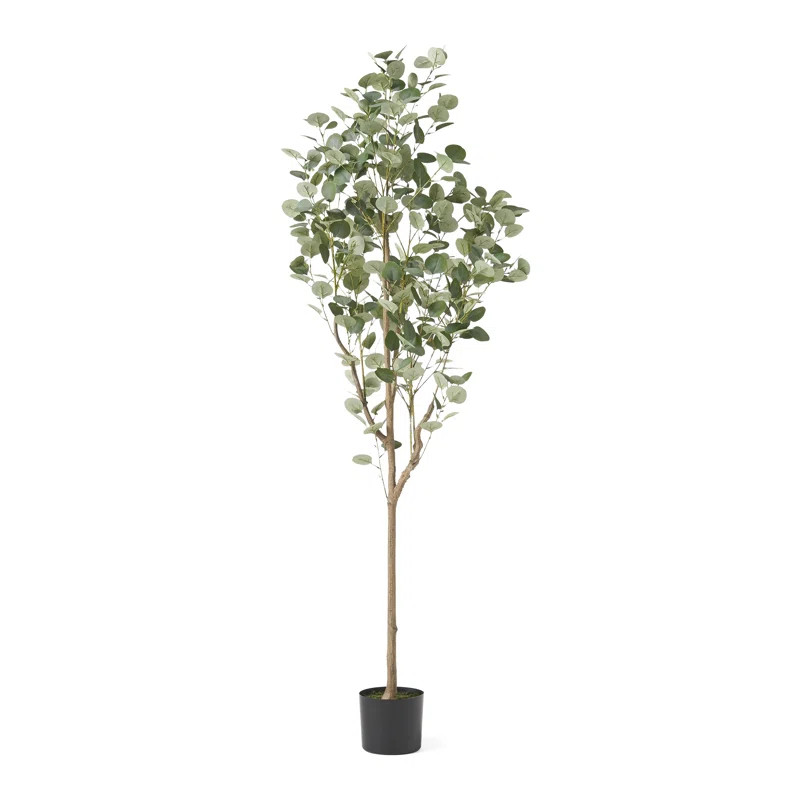 Aanya Faux Eucalyptus Tree in Pot | Wayfair North America