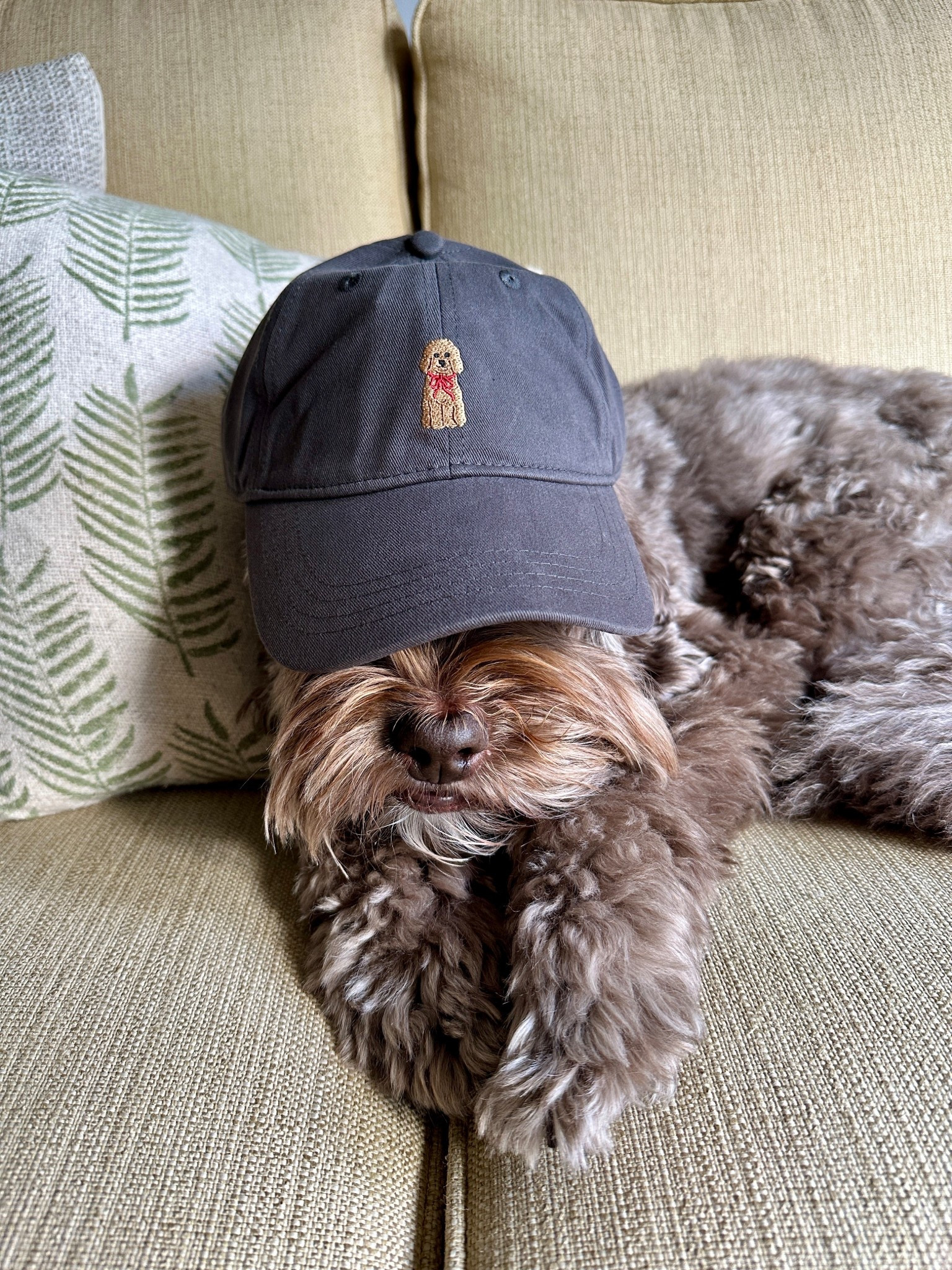 Obsessed with this adorable Doodle Dog hat! Jasper is modeling it but it’s definitely for humans. :-) Great gift for dog moms and pet parents.

Anthropologie | baseball cap | ball cap | hat | gift ideas | labradoodle | goldendoodle | Berniedoodle

#LTKGiftGuide #LTKFindsUnder50 #LTKPets