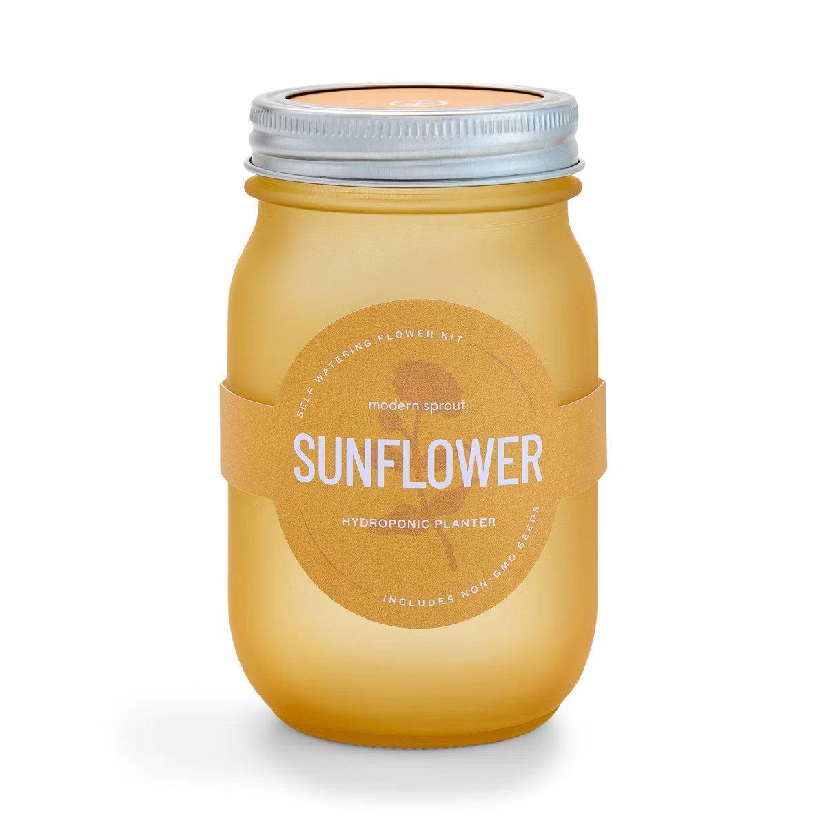 Modern Sprout Pint Jars Garden Seed Kits | Target