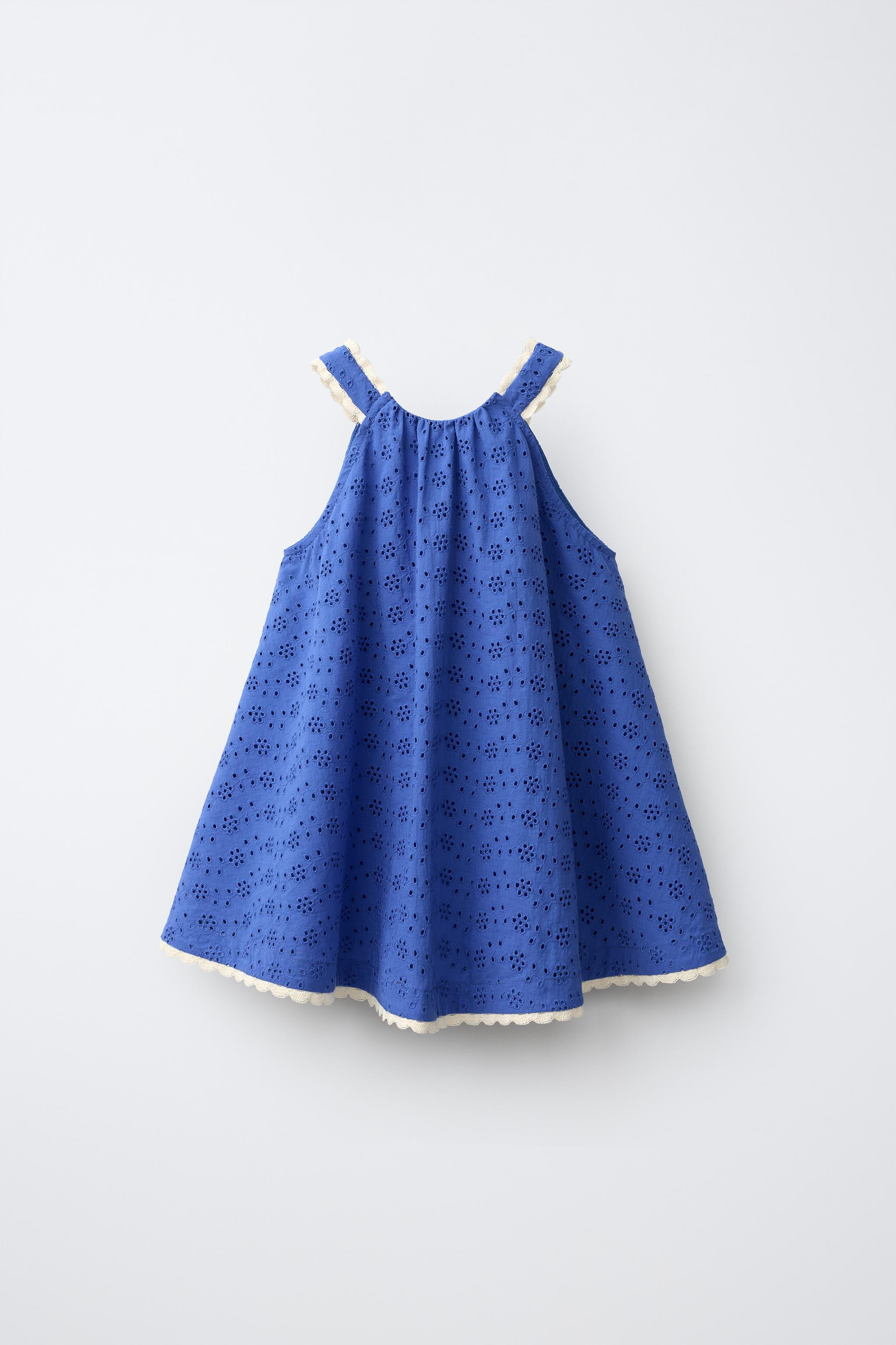 EMBROIDERED SHIFFLY LACE DRESS | Zara US