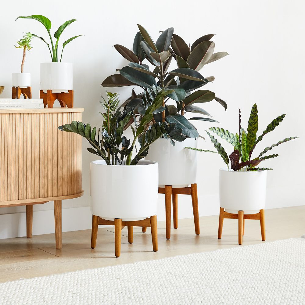 Tall Floor - 14"D x 23.6"H | West Elm (US)