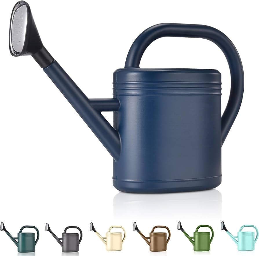 Watering Can 1 Gallon for Indoor Plants, Garden, Outdoor Plant House Flower, Gallon Large Long Sp... | Amazon (US)