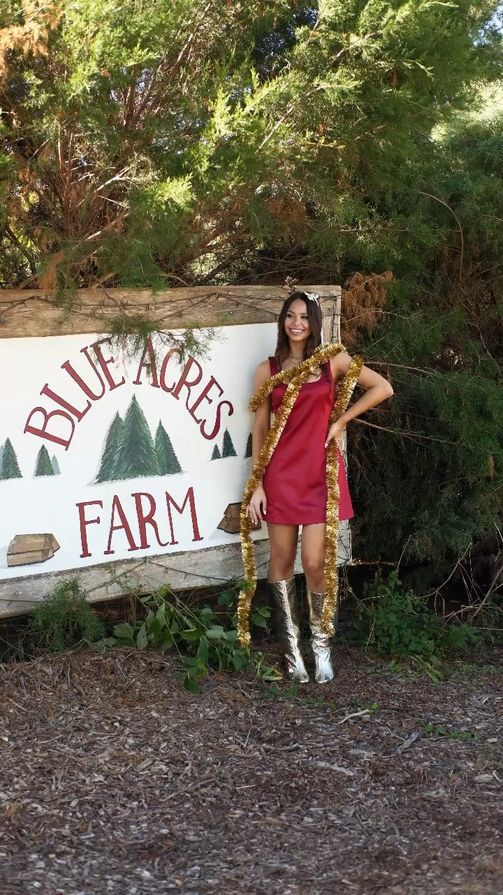 Dress is $35 and it’s so perfect for Christmas! The classiest little satin red dress and also comes in black! 

#LTKCyberWeek 

#LTKGiftGuide #LTKHoliday