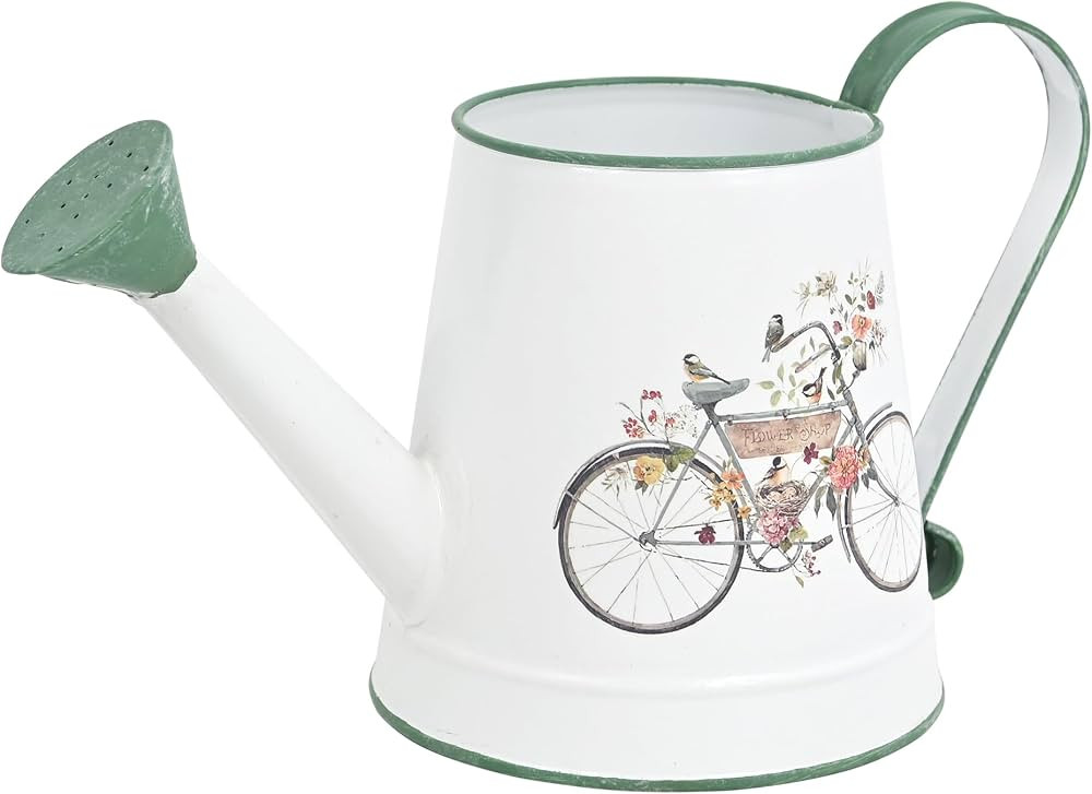Small Watering Can for Indoor Plants Garden Metal Decorative Watering Can Outdoor Bonsai Balcony ... | Amazon (US)