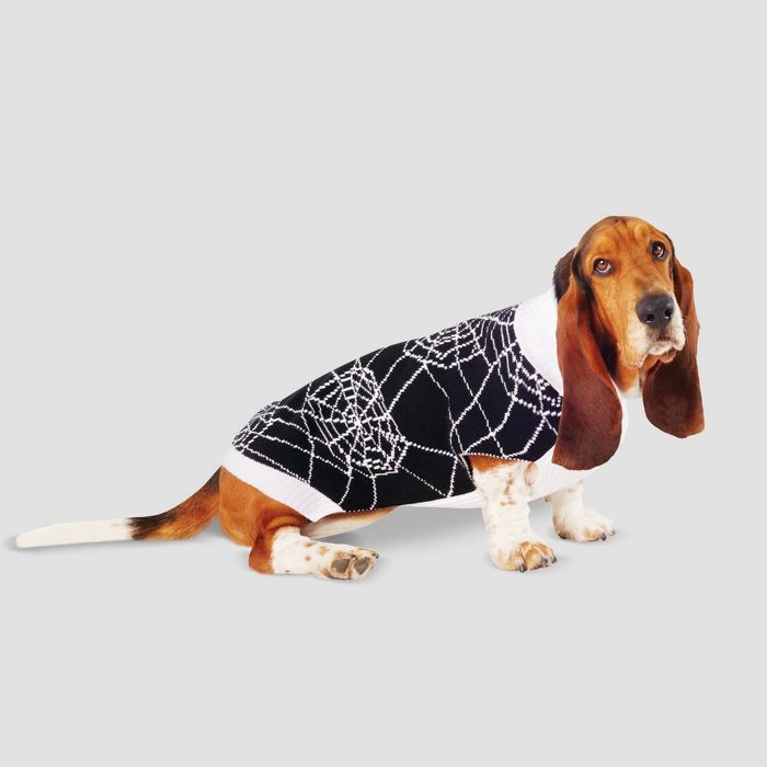 Spiderweb Halloween Dog and Cat Sweater - Hyde & EEK! Boutique™ | Target