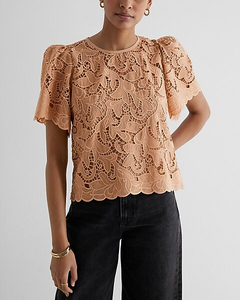 Embroidered Crochet Puff Sleeve Top | Express