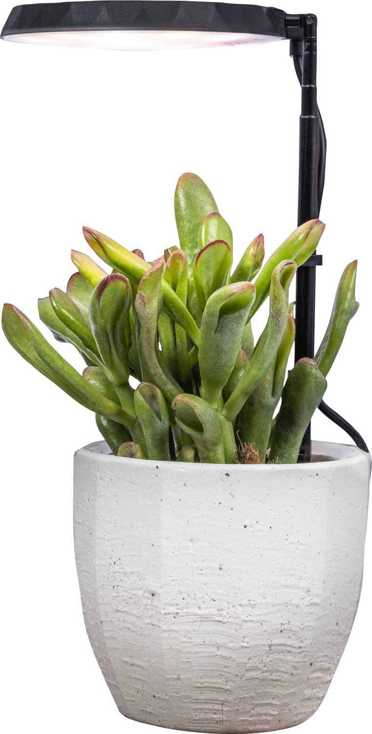 AeroGarden Stem Grow Light for Indoor Plants, Grow Live Plants Anywhere in the Home, Adjustable L... | Amazon (US)