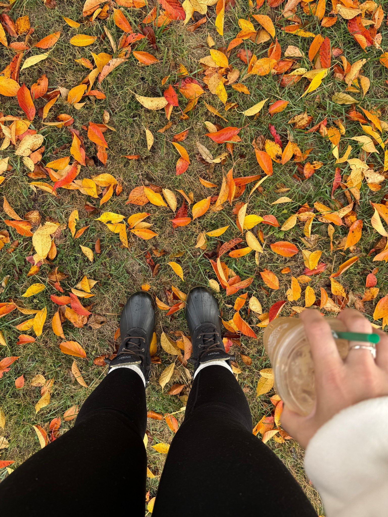 Fall mornings 

#LTKSeasonal #LTKMidsize #LTKShoeCrush