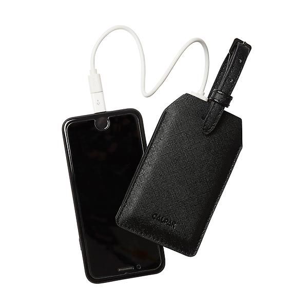 CALPAK Luggage Tag & Portable Charger | The Container Store