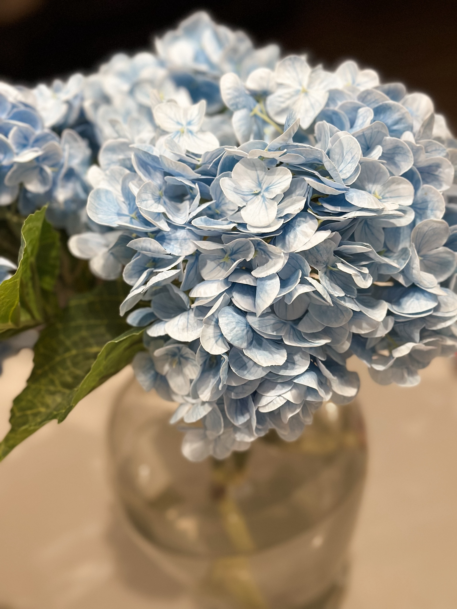 HACK: stick these hydrangeas in a vase with water, and no one will ever guess they are faux!! 


#LTKSeasonal #LTKParties #LTKxPrimeDay