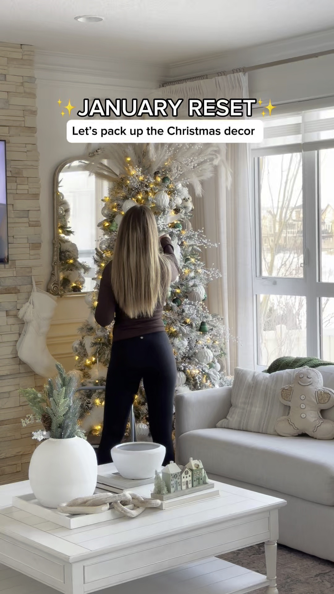 Sharing some of my favourite Christmas decor storage and organization finds 

#organizedhome #storage #homeorganization 

#LTKFindsUnder50 #LTKFindsUnder100 #LTKHome