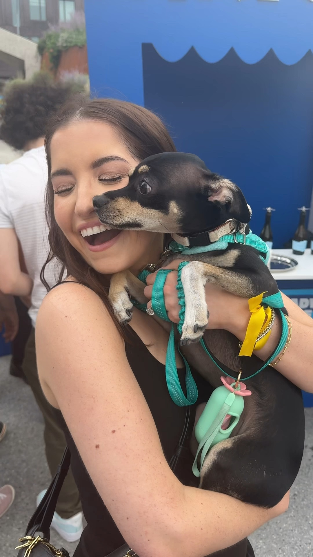 I am fully embracing my dog-obsessed millennial roots. We had the MOST fun at @bark Live (Fig most of all, ofc). BARK’s toys are consistently my favorite because Fig is a destroyer and so many of their toys are made with layers he can rip apart to reveal another toy underneath. A lil two for one!

#LTKHome #LTKFindsUnder50 #LTKPets