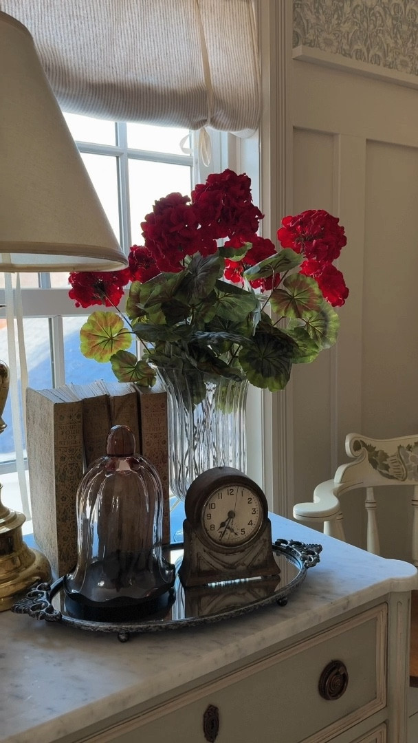 Cozy geraniums 

#LTKfindsunder50 #LTKhome #LTKVideo