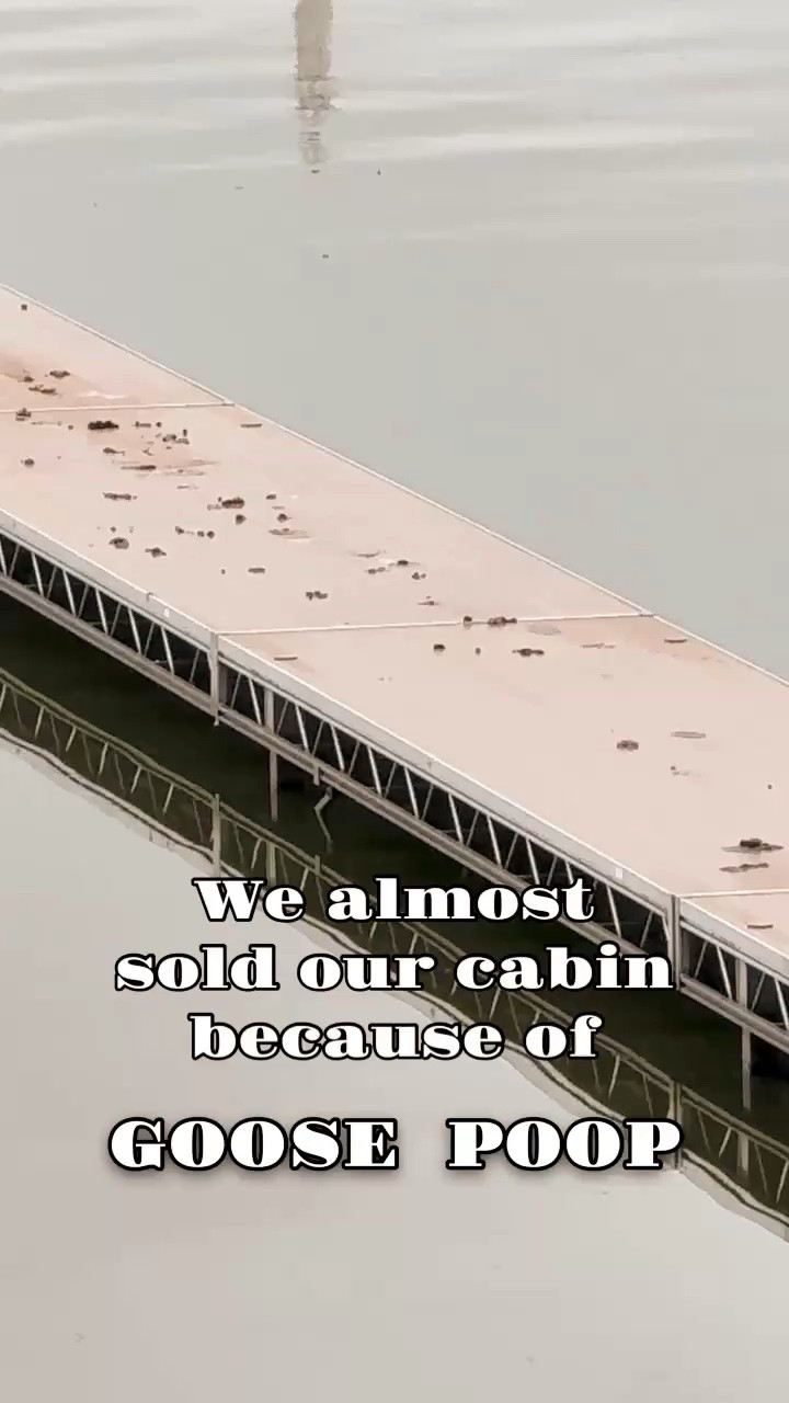 This one thing was a game changer for goose poop in our yard! We haven’t had one goose sighting since we installed the “goose machine” . If you have a goose poop Problem this will change your life!!

#LTKHome #LTKSeasonal