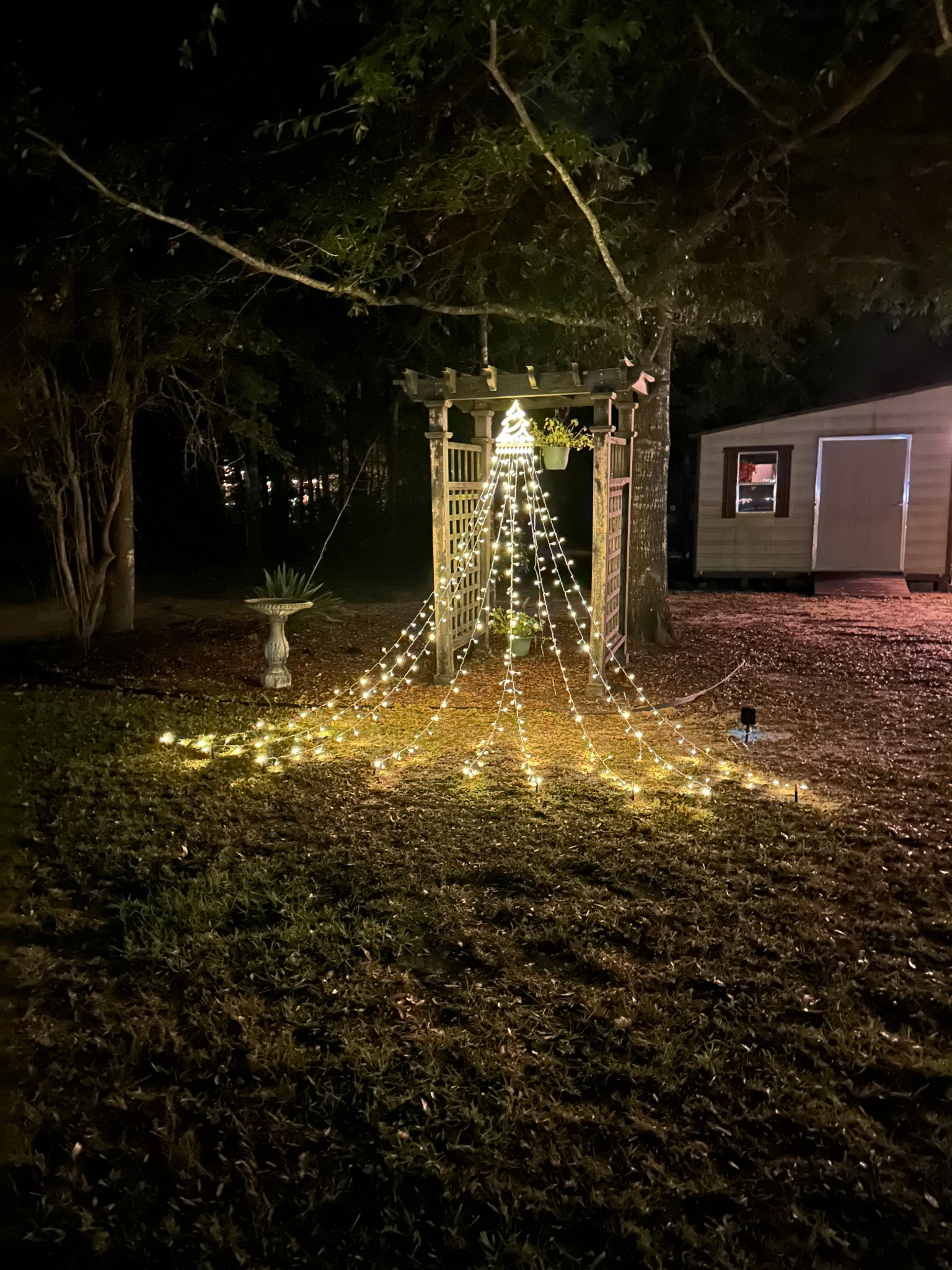 Love these lights from Walmart! 

#LTKHoliday