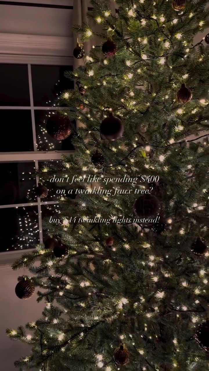 Don’t feel like spending $400 on the viral twinkling Christmas tree? 

Buy $14 twinkling string lights instead! 



#LTKHoliday #LTKWatchNow #LTKSeasonal