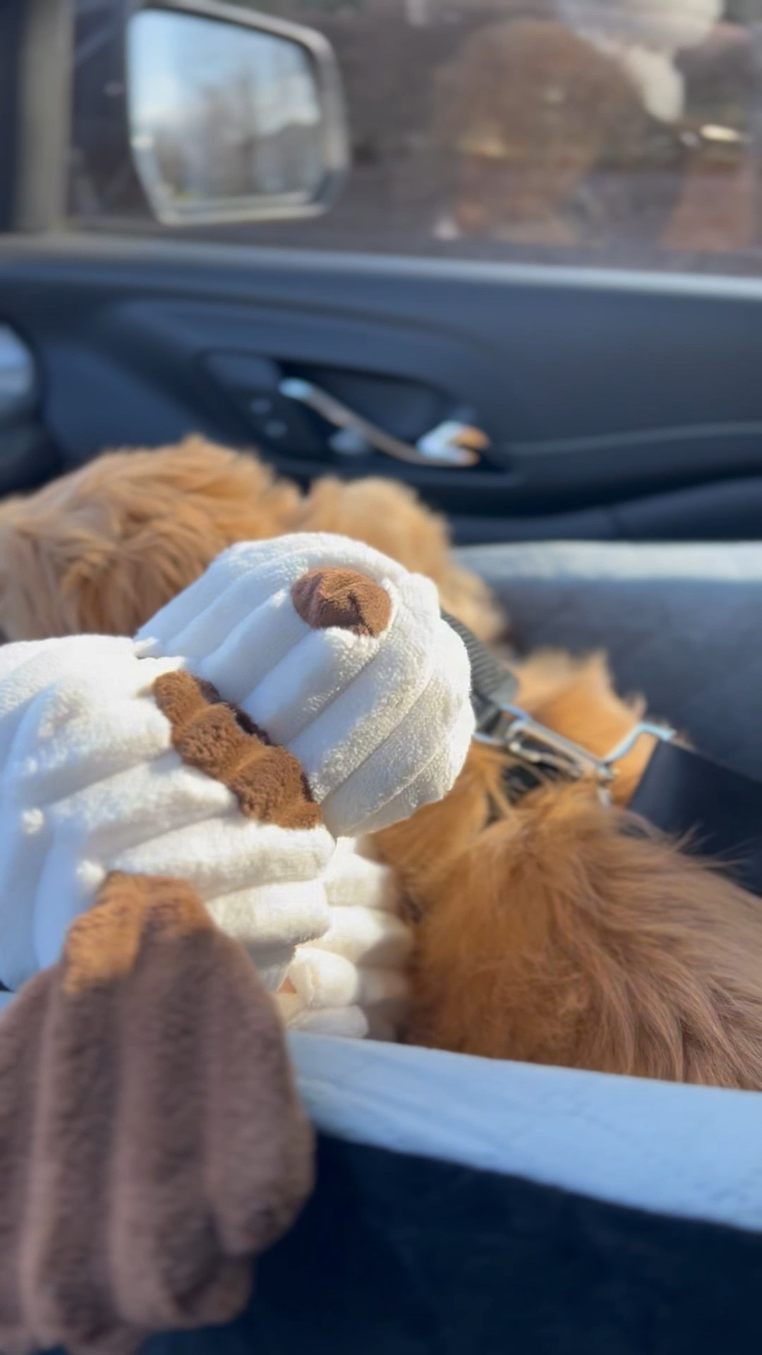 Russell loves his cozy car seat

#LTKPets #LTKFindsUnder100