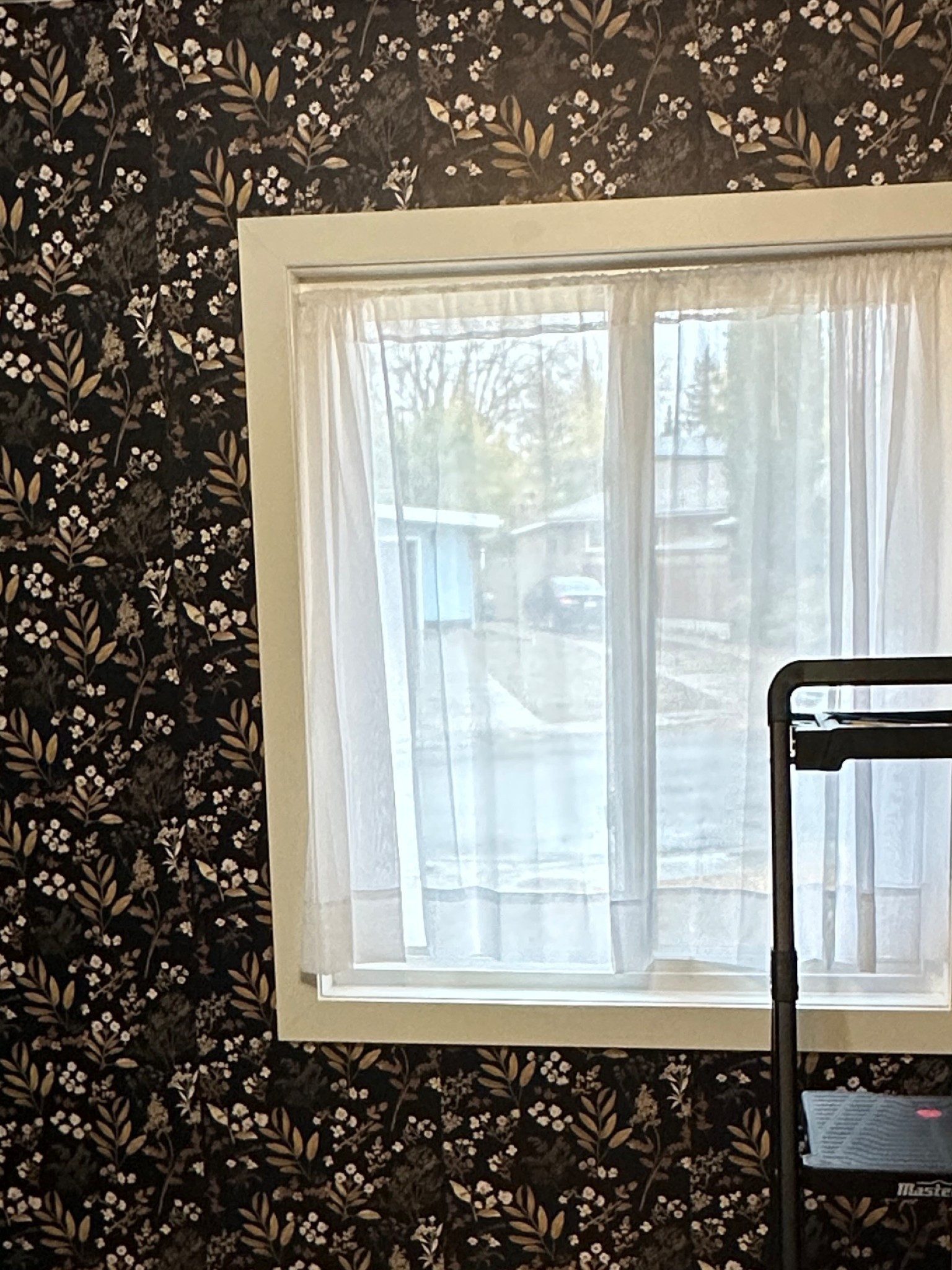 Cutesy moody wallpaper✨🖤

#LTKhome #LTKfall #LTKcanada