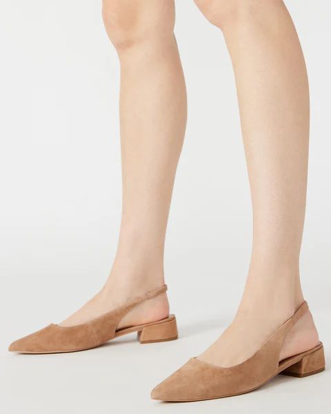 BLAKELY CAMEL SUEDE | Steve Madden (US)