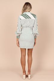 Taleen Long Sleeve Tie Mini Dress - Sage Stripe | Petal & Pup (US)